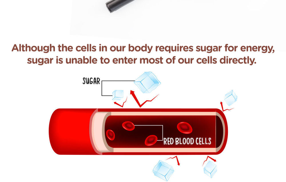 NaturoTea® for Glucose Care