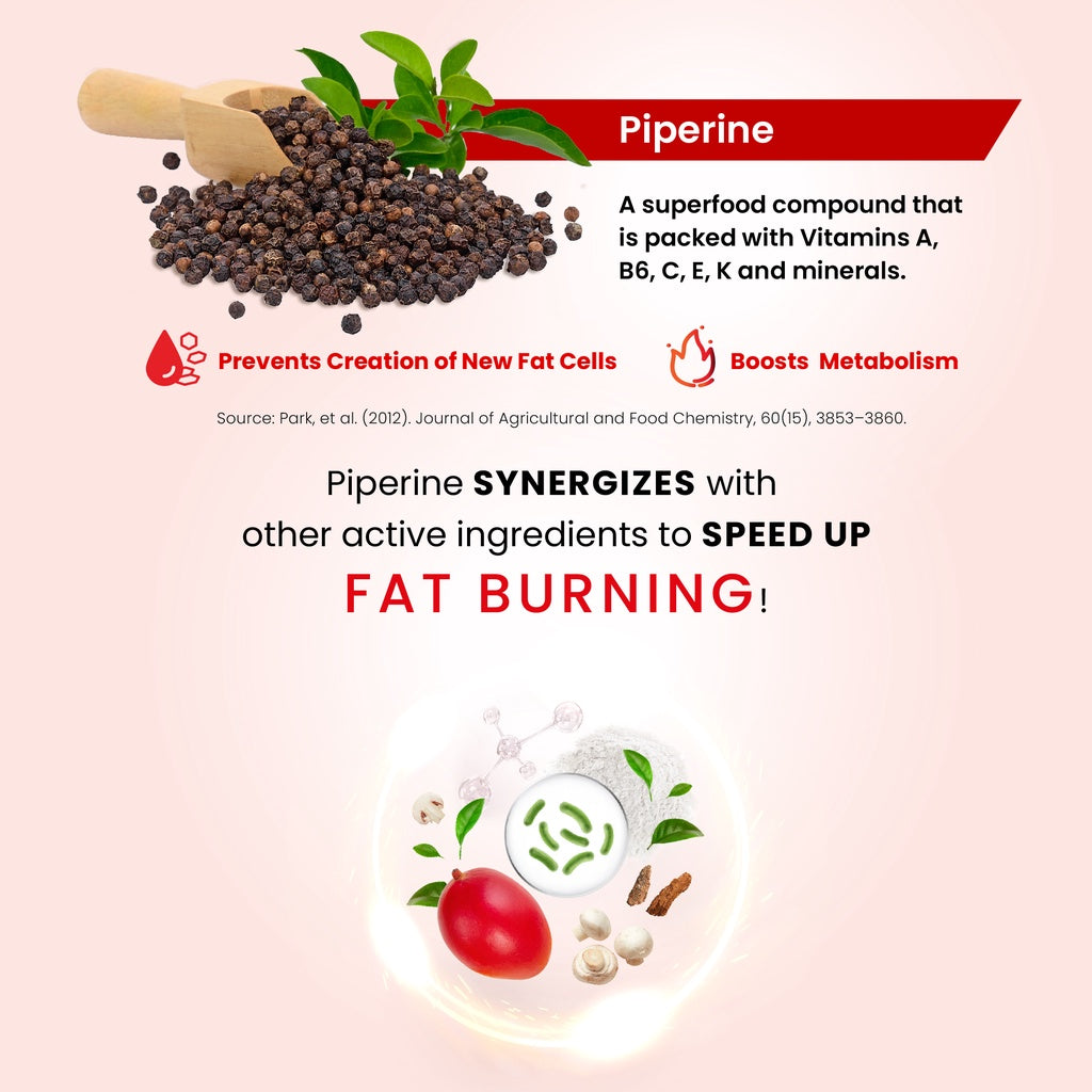 AVALON® Fat Burner Plus (w/ 15 Billion Patented Slimming Probiotics)