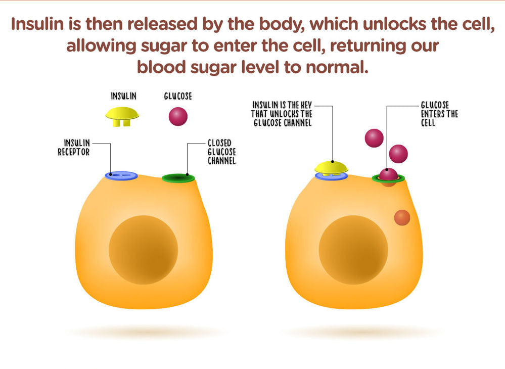 NaturoTea® for Glucose Care