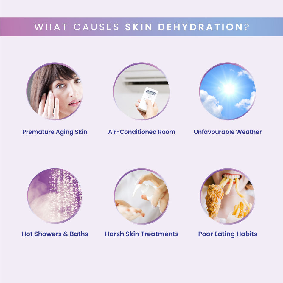 AVALON® DewyPure Collagen Peptide (Marine Collagen Peptide + Ceramide)