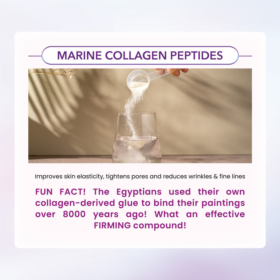 AVALON® DewyPure Collagen Peptide (Marine Collagen Peptide + Ceramide)
