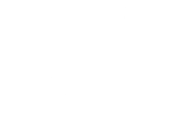 Hi-Beau International