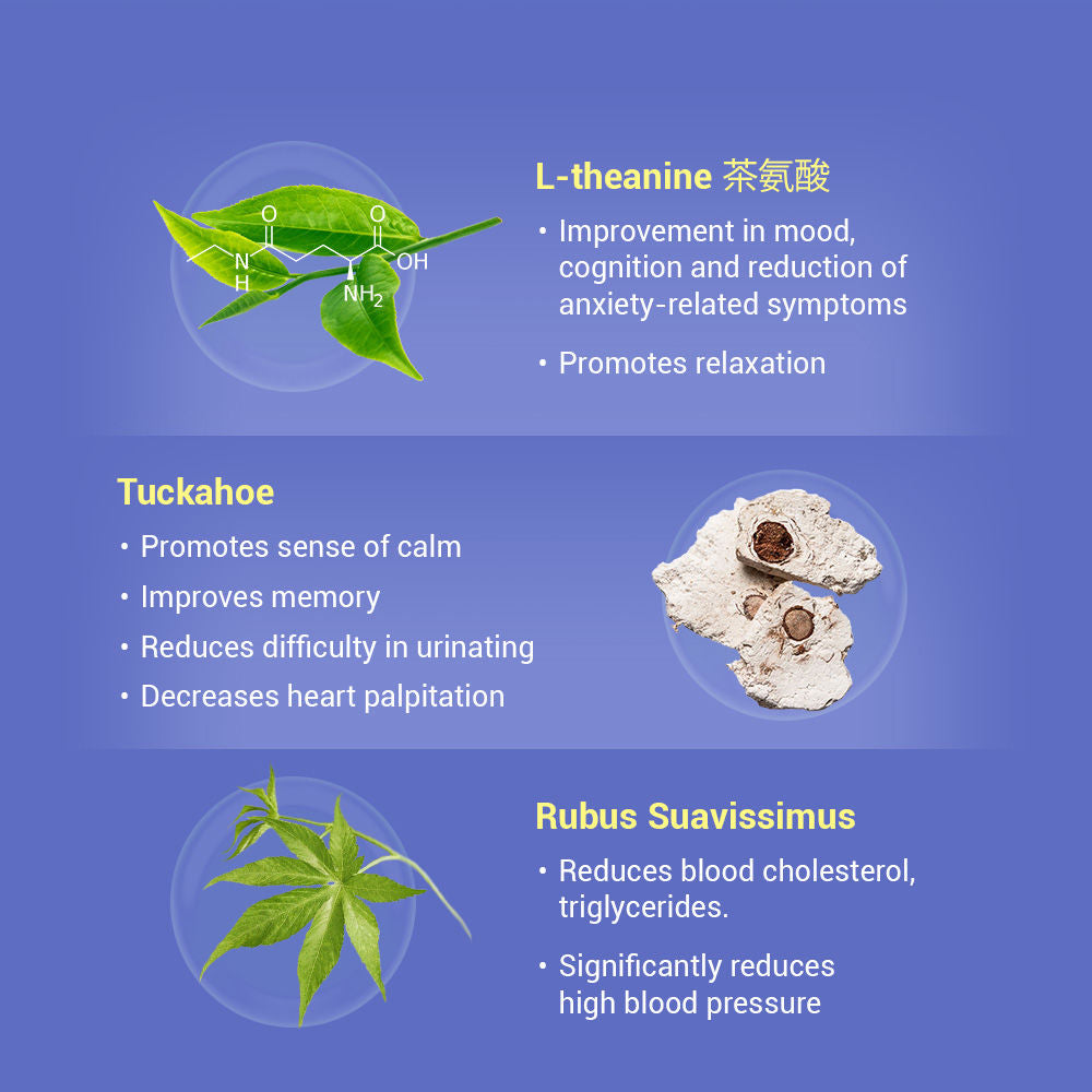 NaturoTea® for Better Sleep 20s