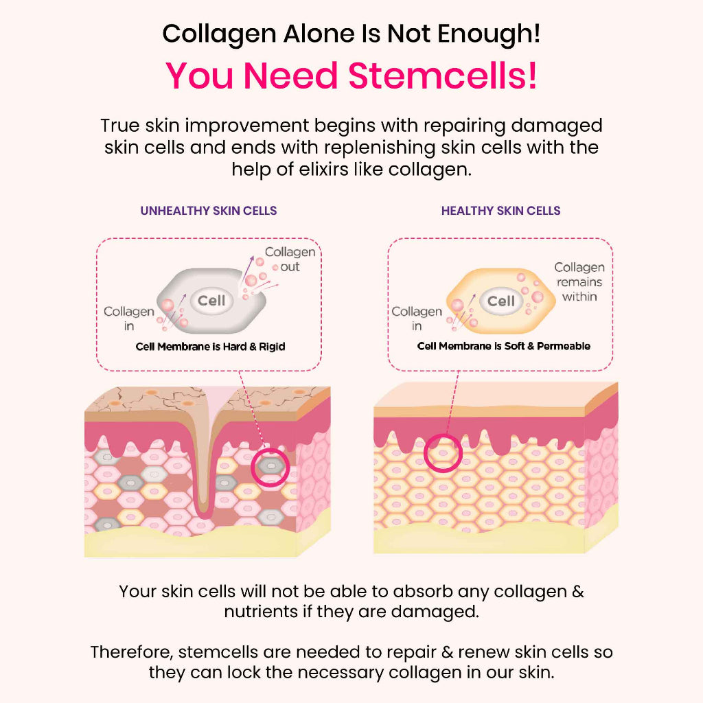 AVALON® Stemcell Beauty Drink