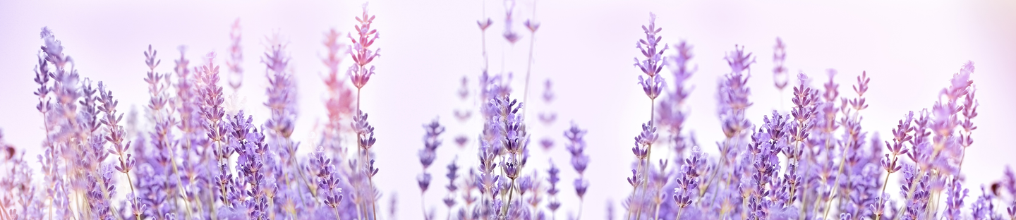 NaturoPatch®
