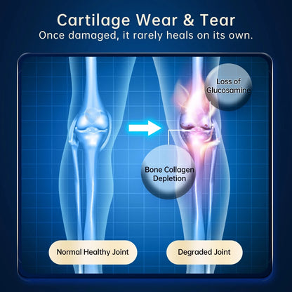 VitaRealm® PowerJoint Gold