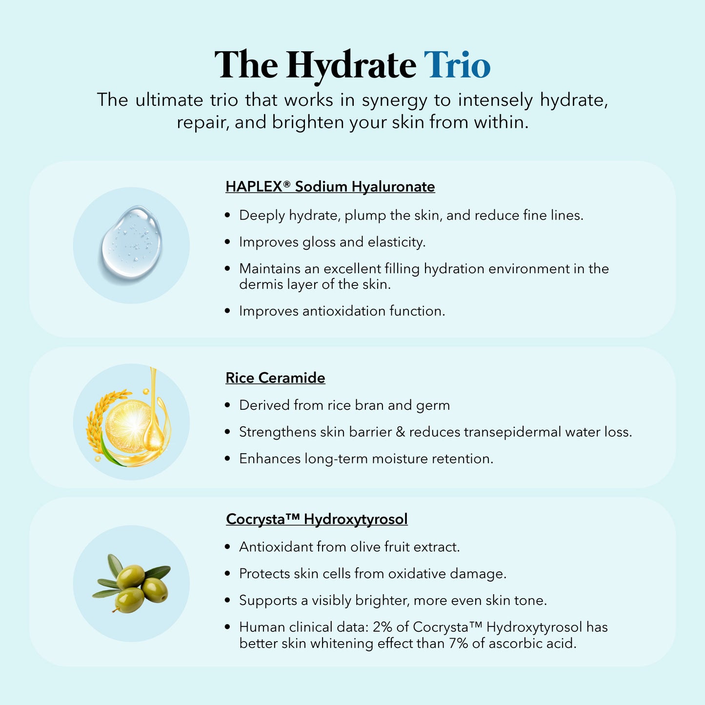 AVALON® HydraPure™ 30s (HAPLEX® Plus Sodium Hyaluronate + Rice Ceramide)